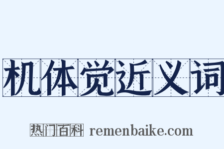 机体觉近义词是什么意思的图片